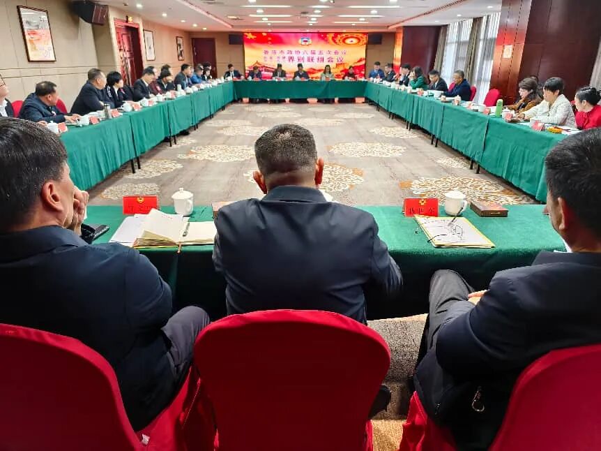 傅小松參加市政協六屆五次會議民盟民建農工九三界別聯組討論